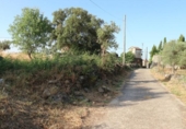 Terreno no urbanizable en venta en la España, Tejeda de Tiétar, ref: TR116111 foto