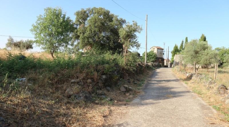 Cáceres - Tejeda de Tiétar - 4080m2