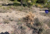 Suelo urbano en venta en la España, Casinos, ref: TR123429 foto