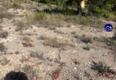 Suelo urbano en venta en la España, Casinos, ref: TR123429 foto