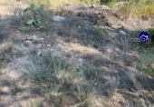 Suelo urbano en venta en la España, Casinos, ref: TR123429 foto