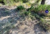 Suelo urbano en venta en la España, Casinos, ref: TR123429 foto