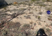 Suelo urbano en venta en la España, Casinos, ref: TR123429 foto