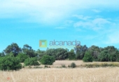 Terreno no urbanizable en venta en la España, Muro, ref: TR113158 foto