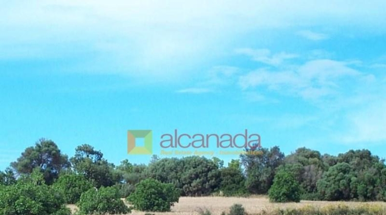 Balearic Islands - Muro - 8822m2