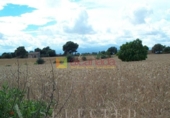 Terreno no urbanizable en venta en la España, Muro, ref: TR113158 foto