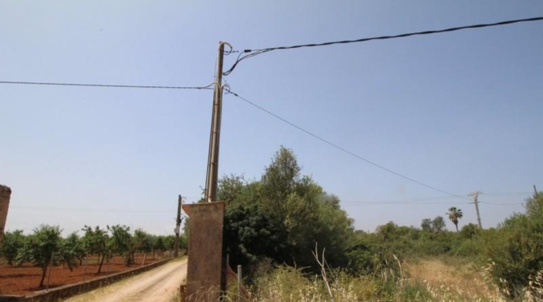 Balearic Islands - Lluchmayor - 6900m2