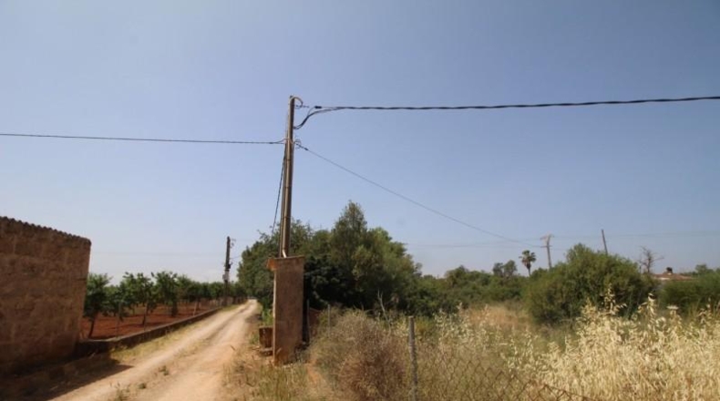 Balearic Islands - Lluchmayor - 6900m2