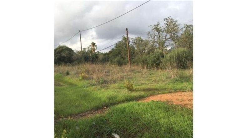 Balearic Islands - Lluchmayor - 6900m2