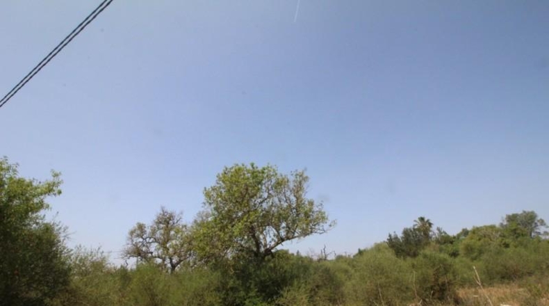 Balearic Islands - Lluchmayor - 6900m2