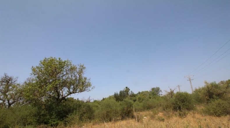 Balearic Islands - Lluchmayor - 6900m2