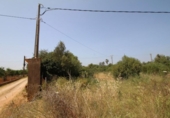 Terreno no urbanizable en venta en la España, Llucmajor, ref: TR115054 foto