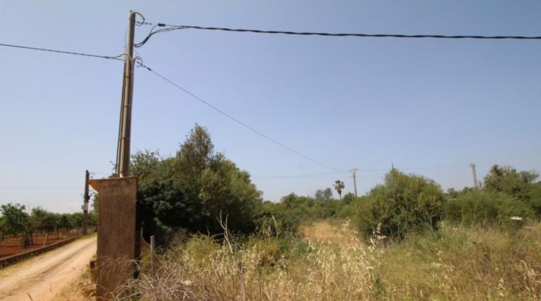 Balearic Islands - Lluchmayor - 6900m2