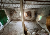 Casa de camp amb terreny en venda a la España, Albuñuelas, ref.: TR400657 foto