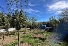 Foto 9
