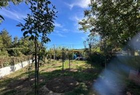 Foto 11