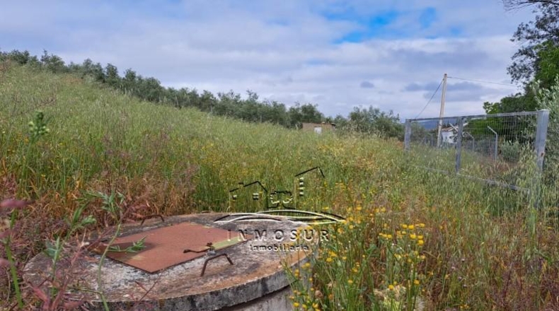Córdoba - Lucena - 1800m2