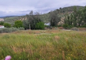 Terreno no urbanizable en venta en la España, Lucena, ref: TR241801 foto