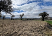 Parcela urbanizable en venta en la España, Alhendín, ref: TR412926 foto