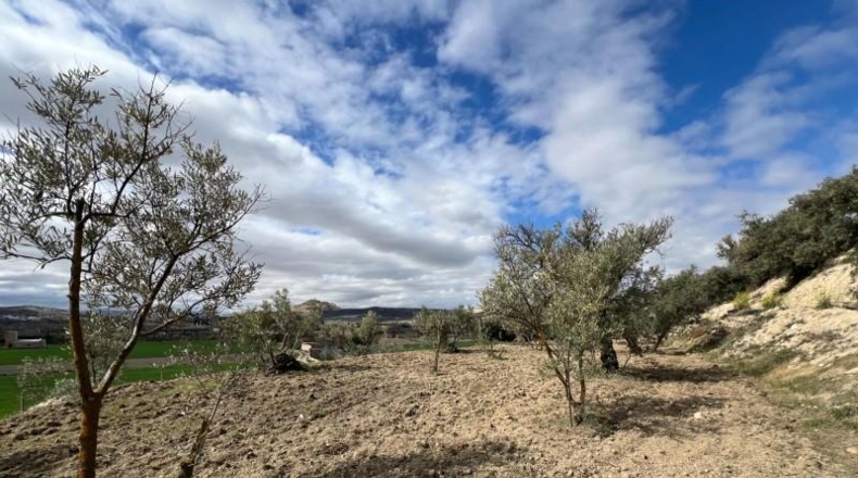 Granada - Alhendín - 3183m2