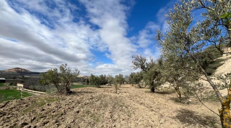 Granada - Alhendín - 3183m2
