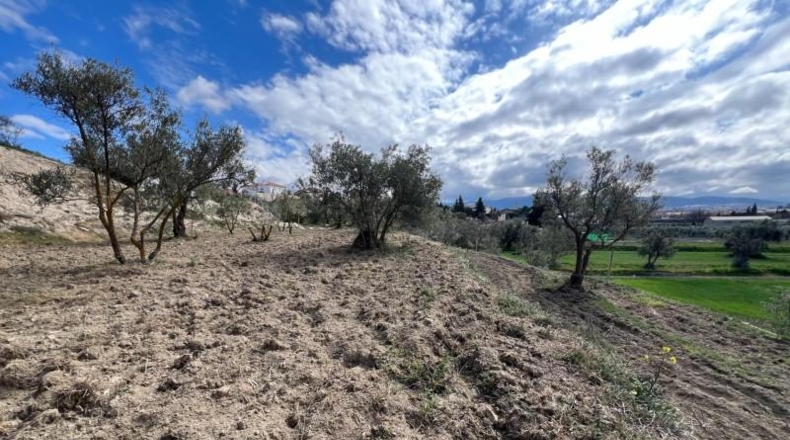 Granada - Alhendín - 3183m2