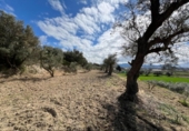 Parcela urbanizable en venta en la España, Alhendín, ref: TR412926 foto