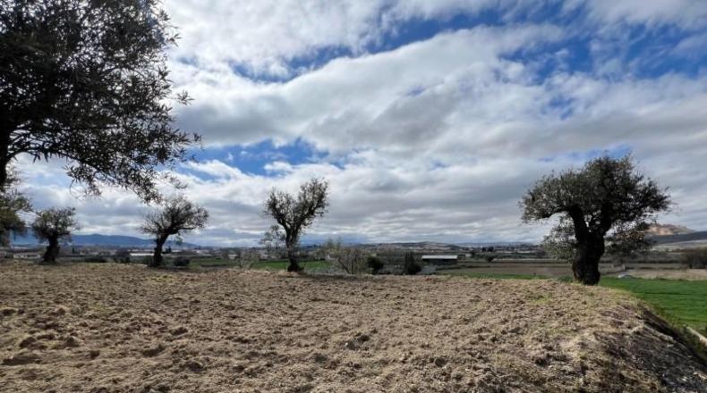 Granada - Alhendín - 3183m2