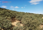 Chalet independiente con terreno en venta en la España, Villanueva del Duque, ref: TR301315 foto