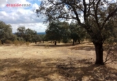 Chalet independiente con terreno en venta en la España, Villanueva del Duque, ref: TR301315 foto