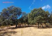 Chalet independiente con terreno en venta en la España, Villanueva del Duque, ref: TR301315 foto