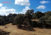 Chalet independiente con terreno en venta en la España, Villanueva del Duque, ref: TR301315 foto