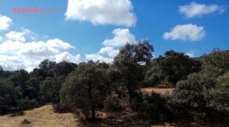 Córdoba - Вильянуэва дель Дуке - 110000m2