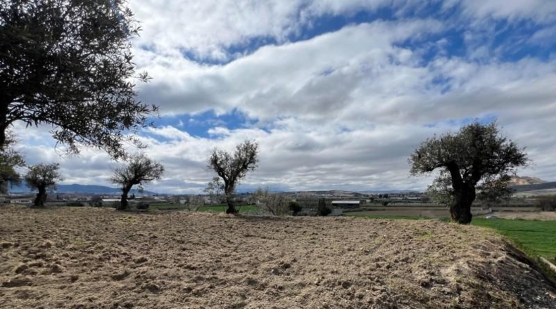 Granada - Alhendín - 3183m2