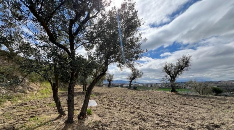 Granada - Alhendín - 3183m2