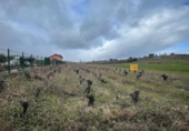Chalet independiente con terreno en venta en la España, Camponaraya, ref: TR297752 foto