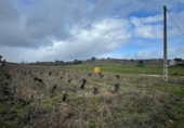 Chalet independiente con terreno en venta en la España, Camponaraya, ref: TR297752 foto