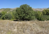 Terreno no urbanizable en venta en la España, Fondón, ref: TR218663 foto