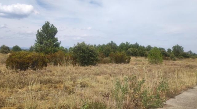 Leon - Garrafe de Torío - 1714m2