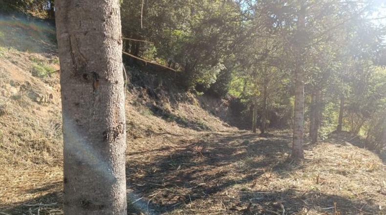Gerona - Espinelves - 800m2