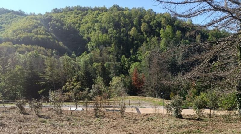 Gerona - Espinelves - 800m2