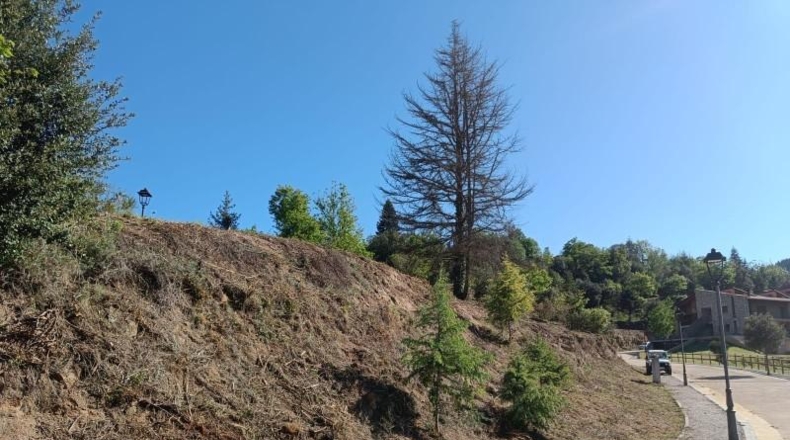 Gerona - Espinelves - 800m2