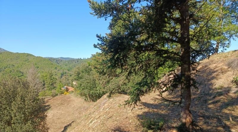 Gerona - Espinelves - 800m2