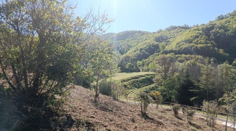 Gerona - Espinelves - 800m2