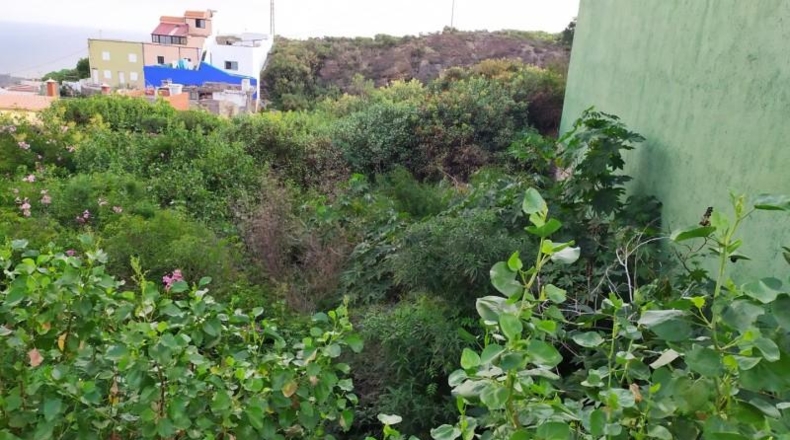 Santa Cruz de Tenerife - Icod de los Vinos - 500m2