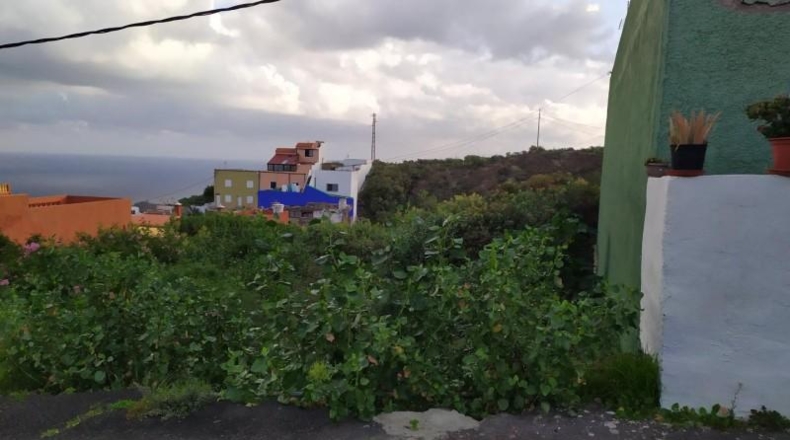 Santa Cruz de Tenerife - Icod de los Vinos - 500m2