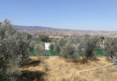 Terreno no urbanizable en venta en la España, Padul, ref: TR115108 foto