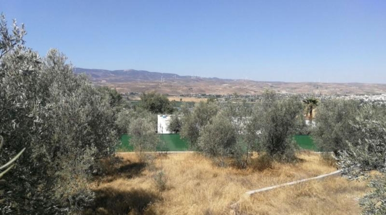 Granada - Padul - 1665m2