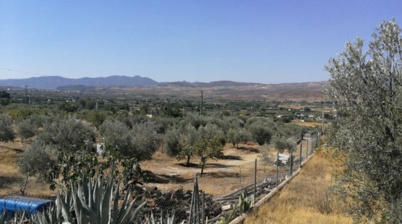 Granada - Padul - 1665m2