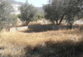 Terreno no urbanizable en venta en la España, Padul, ref: TR115108 foto